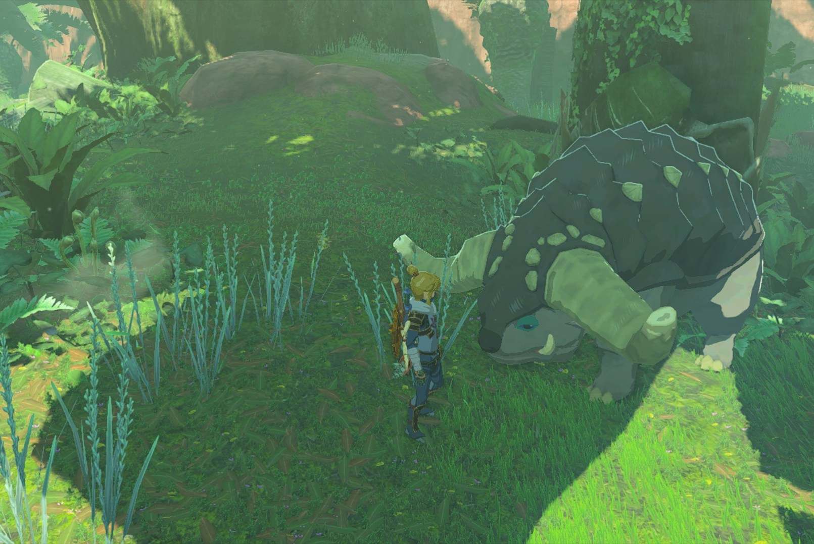 Dondons in Zelda: Tears of the Kingdom, explained